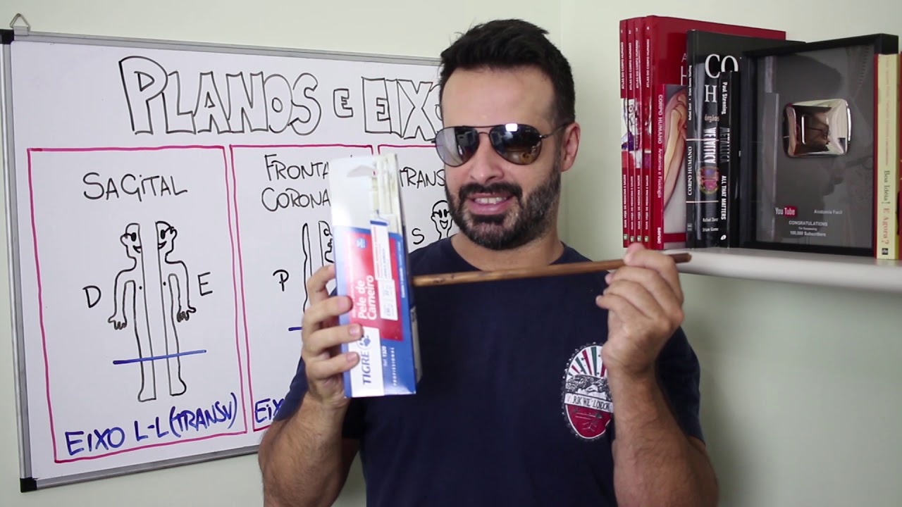 O Que é Longitudinal Em Anatomia