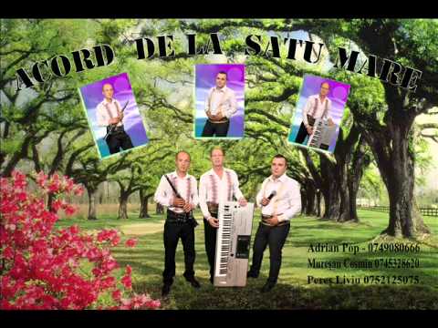 Acord de la Satu-Mare - Caravana