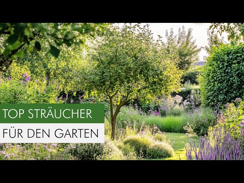 You should definitely have these shrubs in your garden - size, growth form & biodiversity