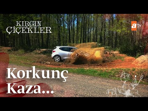 Eylül ve Kemal kaza yapıyor! - Kırgın Çiçekler 81. Bölüm