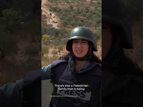 Palestinians seek protection from violent settlers during olive harvest | AJ #shorts