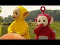 Teletubbies Nederlands ⭐ 1 uur compilatie 2 ⭐ Beste Teletubbies afleveringen