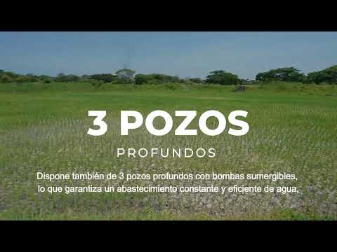 CAMARONERA EN VENTA