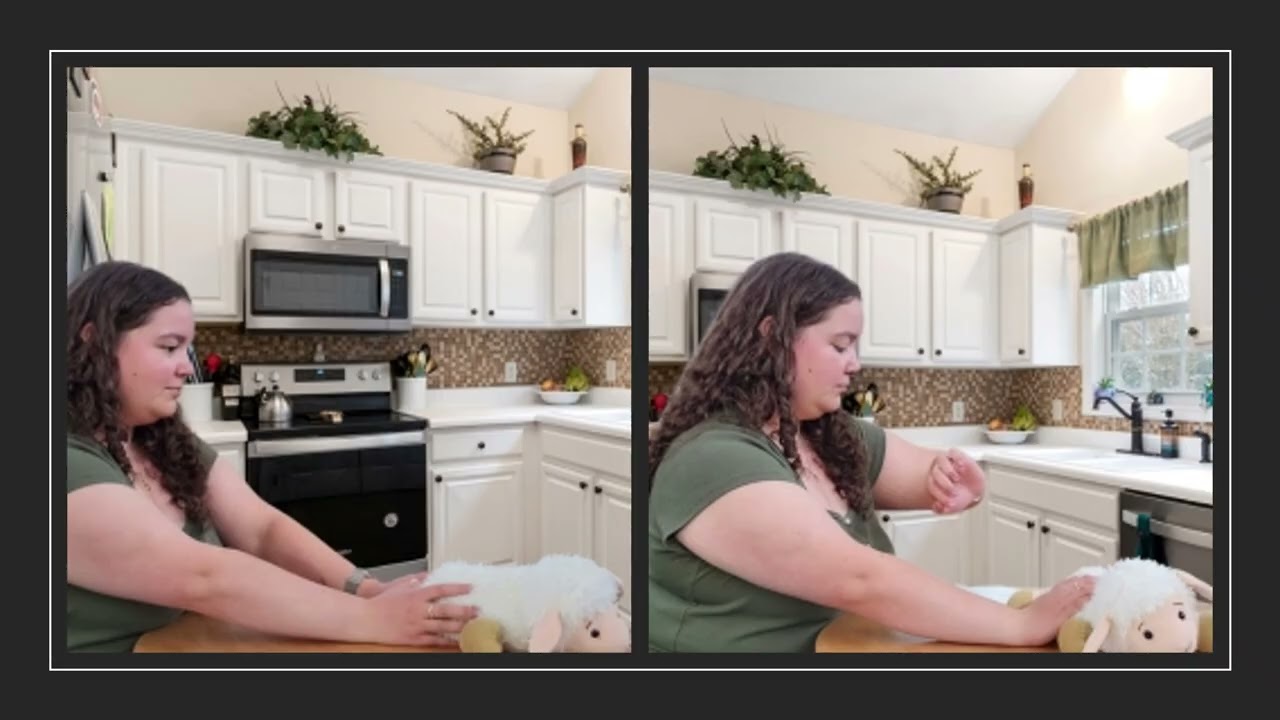 Advocacy Work Group A.L.I.C.E Video thumbnail