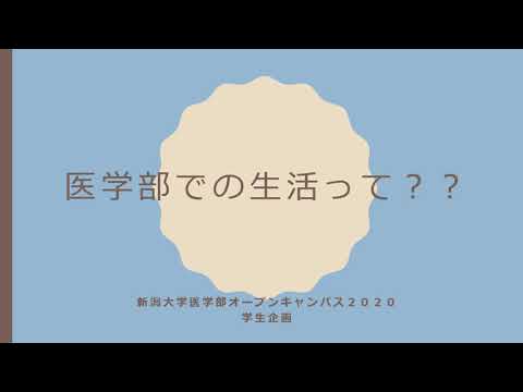 学生企画動画（医学部での生活って？？）