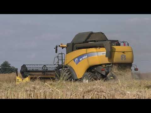 Žně 2019//Řepka//FENDT//TATRA//CASE//ZOD Živanice