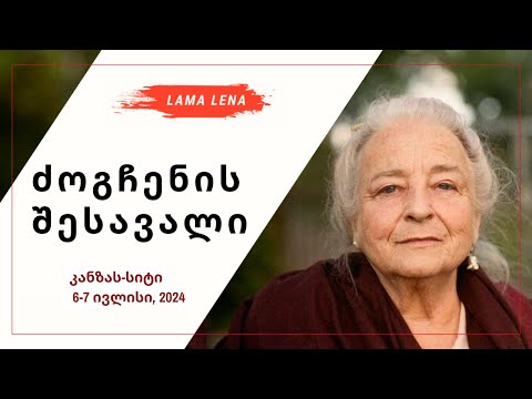 ძოგჩენი: შესავალი კანზას-სიტი (2024)