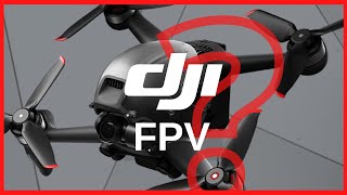DJI Mini 2 or DJI FPV Drone   Why You Should Get DJI FPV Drone