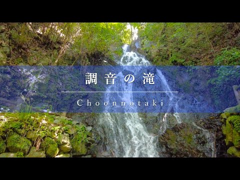 【うきはの今】調音の滝｜Choonnotaki【UkihaDays】