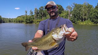 NON-STOP Bladed Jig Action & a Killer Topwater Bite!!! (Summer Bass Fishing)