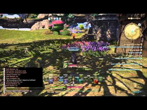 Final fantasy XIV: All According to Plan (Paladin level 58 quest)
