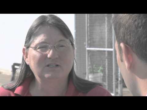 CTV News at 6pm August 14