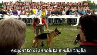 preview picture of video 'BASKO DELLA REAL FAVORITA - GIUDIZIO CAMP. ITALIANO S.A.S. 2013'