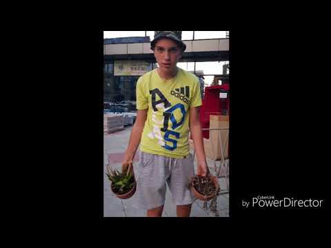 Lubaka, Marto & Viko - Podlez