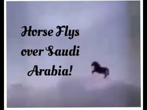 Flying Horse over Mecca 23/11/2014