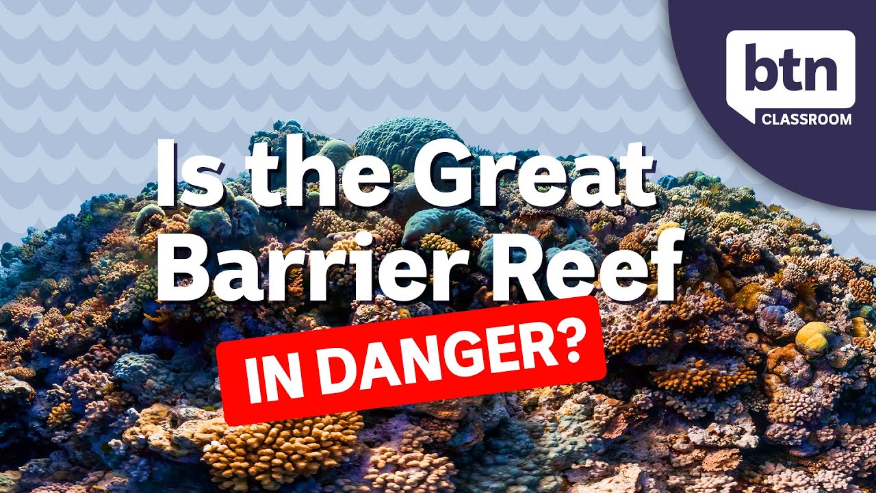Protecting The Great Barrier Reef - Behind the News