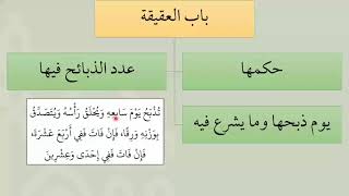 صورة شرح عمدة الفقه  العقيقة   عامر بهجت