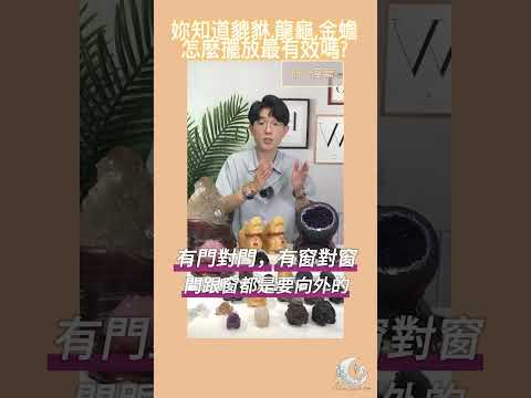 龍龜辦公室