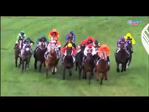 2015 MEMSIE STAKES - Boban