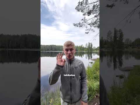 Satoja kiloja kirjolohta!🐟