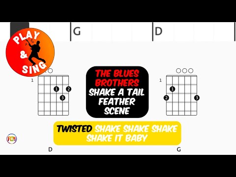 Shake A Tailfeather - Blues Brothers