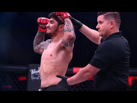 Dillon Danis vs Kyle Walker fight highlights