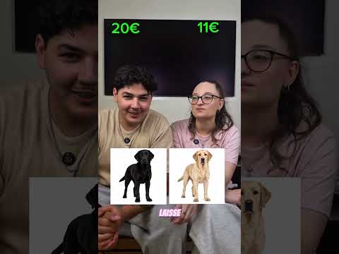 QUI A LE MEILLEUR CHIEN ?! 🐾😱🔥 #shortsvideo