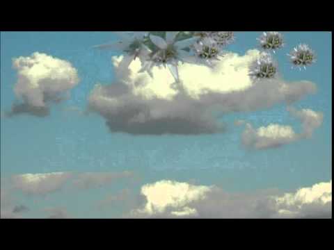 Jambalaya - Džo Maračić Maki