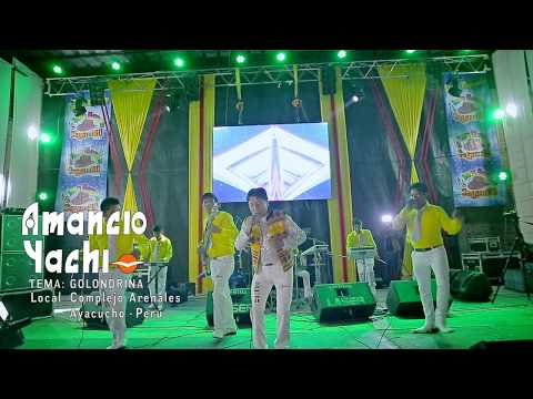 AMANCIO YACHI - GOLONDRINA ( Complejo Arenales Ayacucho )