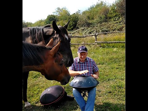 Varju Sandor Handpan - Ló gyógyítás handpannel - Horse healing with handpan music