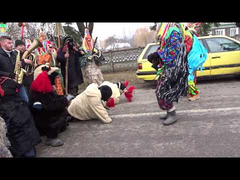 Ursul de la Blagesti 2018 - 2019 part 1