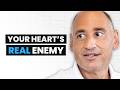 Heart Surgeon The Biggest Risk Factor For Heart Disease It S Not High LDL Dr Philip Ovadia