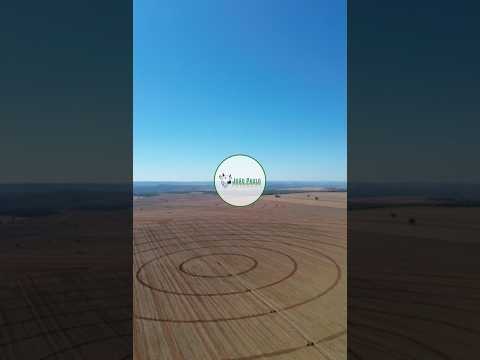 FAZENDA A VENDA EM CABECEIRAS/GO- 745 HECTARES - EXCELENTE PROPIEDADE RURAL