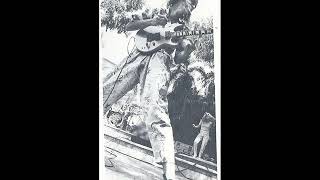 Redd Kross - Elephant Flares