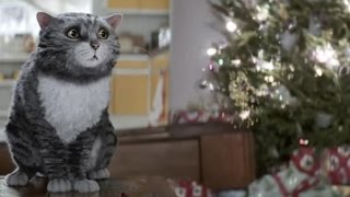 КОТ в ночь на РОЖДЕСТВО устроил КОШМАРноСМЕШНО\CAT.NIGHT.CHRISTMAS.NIGHTMARE but FUNNY