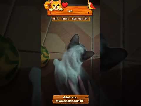 Vídeo de Lua