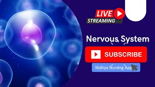 Cranial Nerve || NNC|| Telugu &amp; English Version