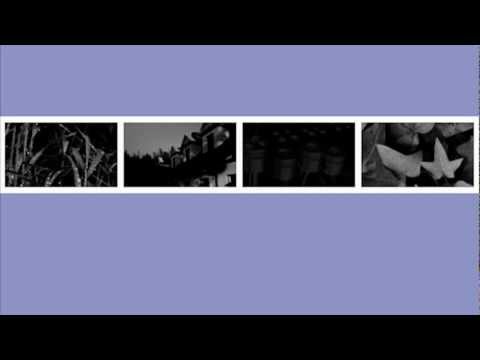In Reflection video thumbnail