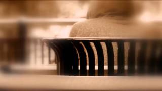 &quot;New Year&#39;s Eve&quot; - Warren Haynes