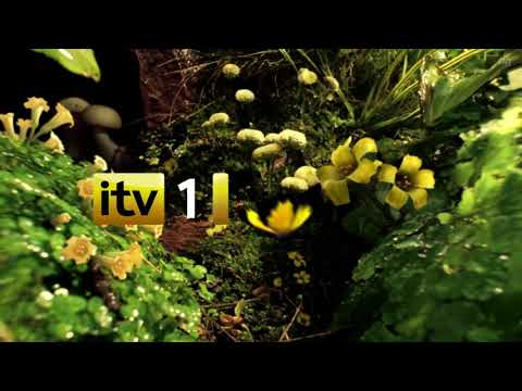 Itv1 hd garden ident (2010)