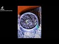 Satisfying Video Beans Sprout Like A Butterfly