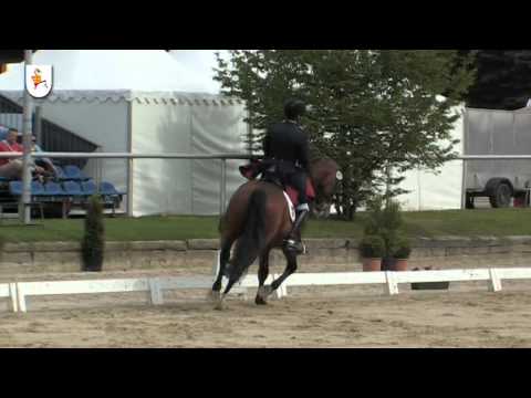 Lissaro van de Helle