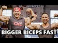 3 Simple Tips To BUILD BIGGER BICEPS FAST