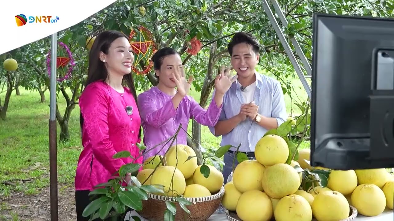 📺 BẢN TIN MIỀN TRUNG | 24/9/2026