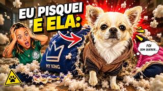 NOSSO DIA MAIS CALMO!!🤯