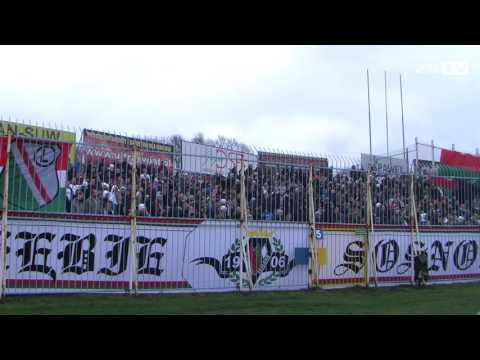 ZSTV: Kibice Zagłębia na meczu Wisła Płock - Zagłębie Sosnowiec