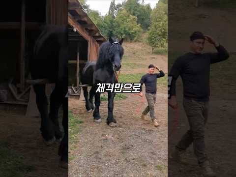 근육질로 뒤덮인 실존 거대마