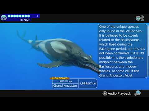 Endless Ocean Luminous Scan UML Set Seed Speedrun