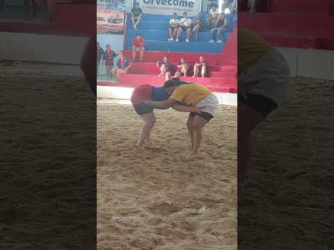 Liga Disa Gobierno de Canarias Categoría Femenina