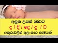 අක්ෂර අනුව නාමයන් -  ද  (තේරුමද සහිතයි) - Names for Letter - D